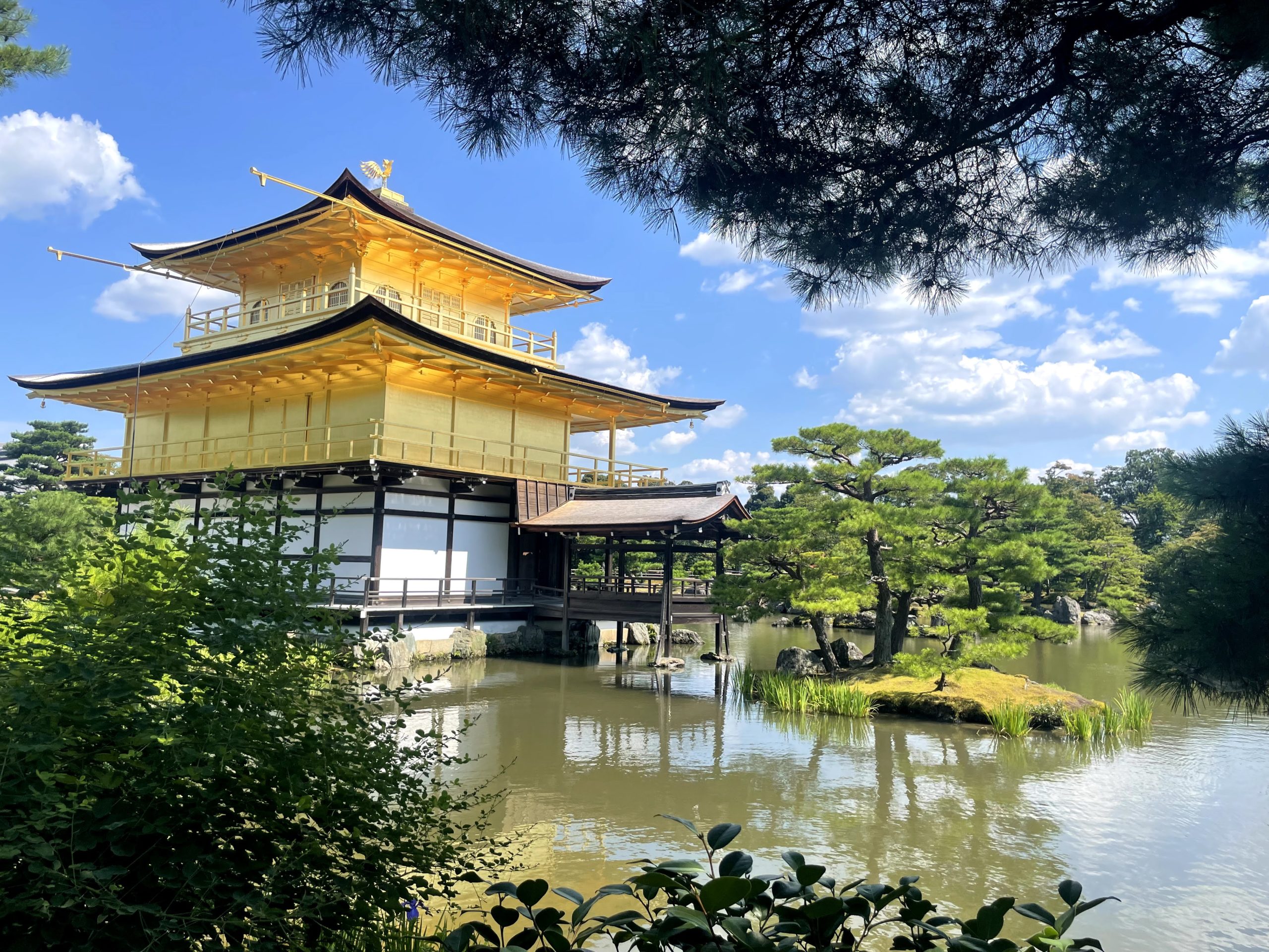 清水寺は早朝参拝が超快適だった 真夏の京都観光 楽しいこと少し